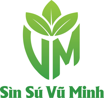 Logo Sìn Sú Vũ Minh - Chuyên Các Loại Sìn Sú