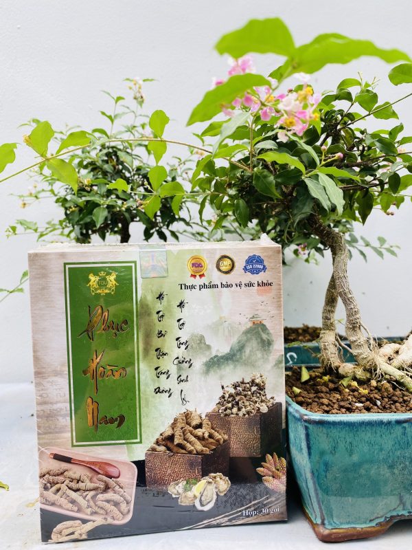 Phục Hoàn Nam - Sìn Sú Vũ Minh
