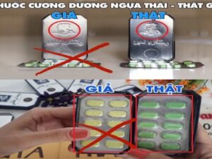 Ngựa Thái Tăng Cường Sinh Lý